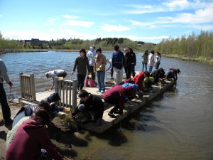 Japanese univeristy exchange students searching for insects in the water.